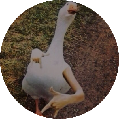 Swaggy Duck PFP | Roblox Item - Rolimon's