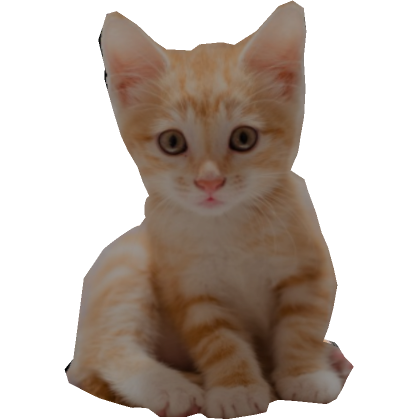 Cute Funny Cat Pal  Roblox Item - Rolimon's