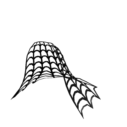 Black Spider Web Veil  Roblox Item - Rolimon's