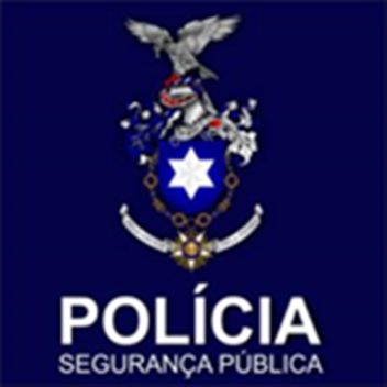 Public Security Police 