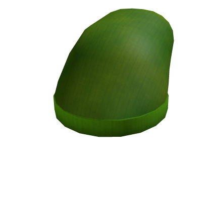 Roblox Item Green Sock Hat
