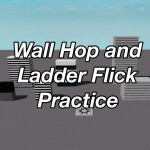 Wall Hop and Ladder Flick Practice