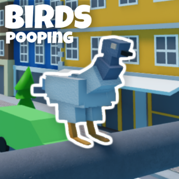 [UPDATE] Birds pooping 🐦