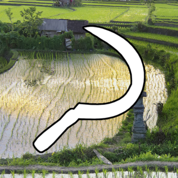 Rice Farming Remasterizado