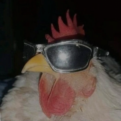 extremely chill rooster pfp Roblox Item Rolimon #39 s