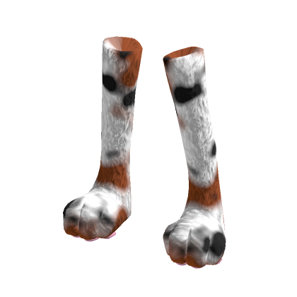 Calico cat new arrivals paws
