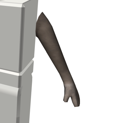 Raccoon - Roblox