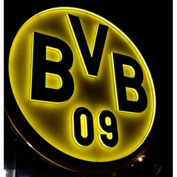 Borussia Dortmund Match Pitch 