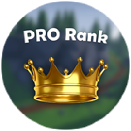 PRO - Roblox