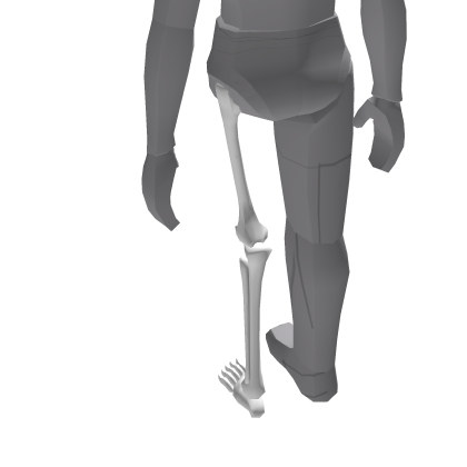 Squelette blanc - Jambe gauche