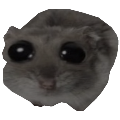 Sad Hamster | Roblox Item - Rolimon's
