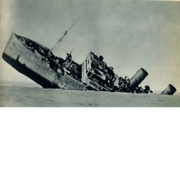 Sinking Ship ( Alpha )