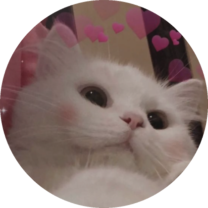 Cat With A Clog PFP  Roblox Item - Rolimon's