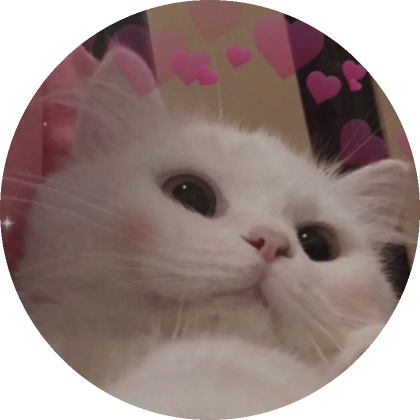 Cat w/ Heart Filter PFP  Roblox Item - Rolimon's