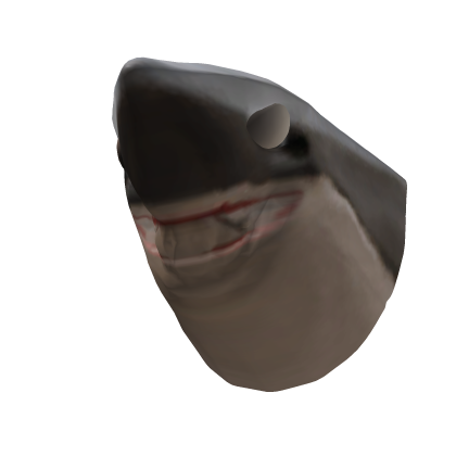 Shark - Dynamic Head