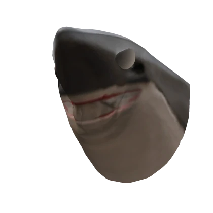 Shark - Dynamic Head