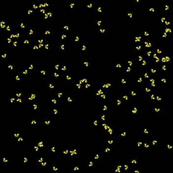 Oof City - Fireflies (Audio Visualizer)