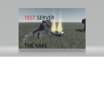 The Rake Testing Server