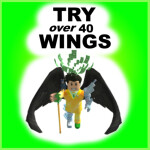 🏬 Try Roblox Wings Shop 