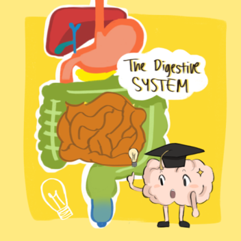 Tour Of The Digestive System 