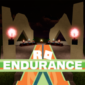 Ro-Endurance: Freeroam