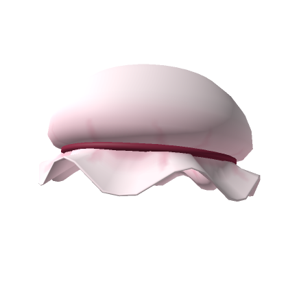 Roblox Item Fluffy Hat Pink