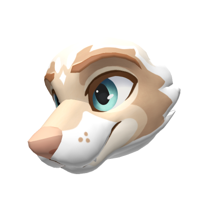 Leucistic Raccoon Head | Roblox Item - Rolimon's