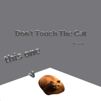 don't touch teh cat