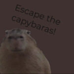 Escape the capybaras