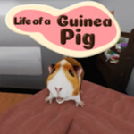[🌴SUMMER] Life of a Guinea Pig