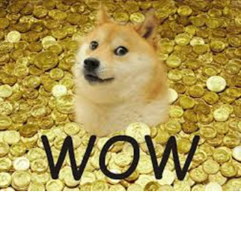 All About Doge!!