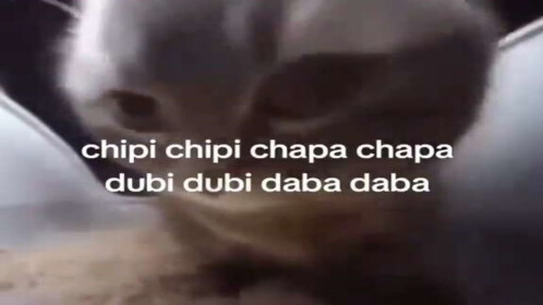 cat chipi chipi chapa chapa        
        <figure class=