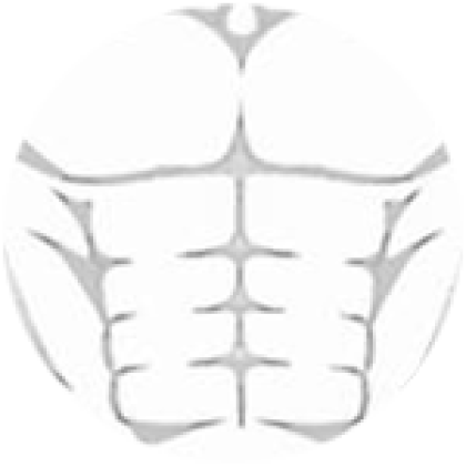 Abs T - Roblox Abs T Shirt Transparent PNG - 420x420 - Free