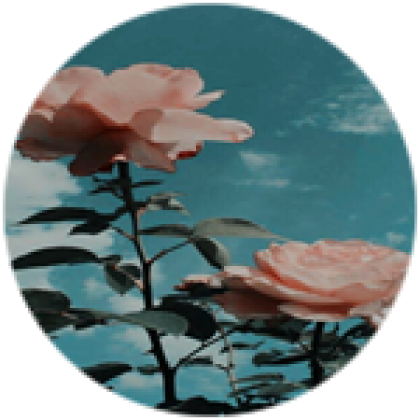 Carnation flower - Roblox