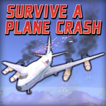 Survive a Plane Crash ✈️ 