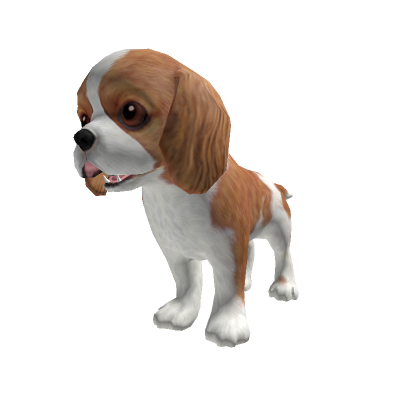 Cavalier king charles deals spaniel items