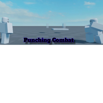 Punching Combat  👊