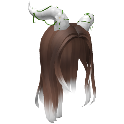 Hair - Roblox