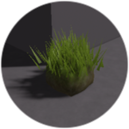 Grass - Roblox
