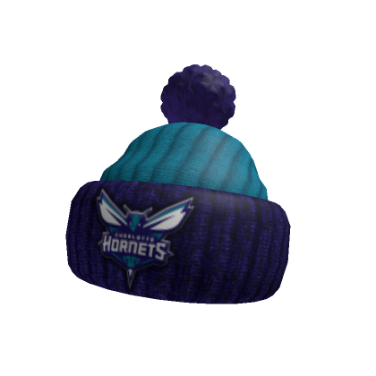 Charlotte hornets beanie online