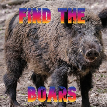 Find the boars (15)