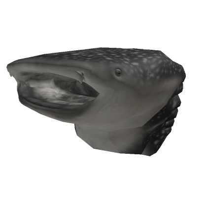 Download Hd Shark Head - 3d Roblox Shark Head Transparent Roblox Summer Items  Png,Roblox Head Png - free transparent png images 
