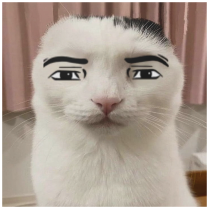 serious cat man face meme pfp