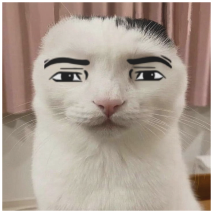 serious cat man face meme pfp | Roblox Item - Rolimon's