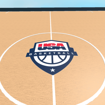 Team USA Olympics Basketball Court