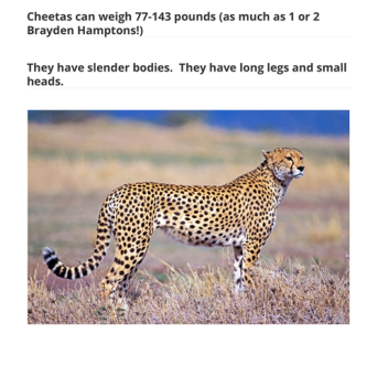 EMS Grade 2 Cheetah Presentation
