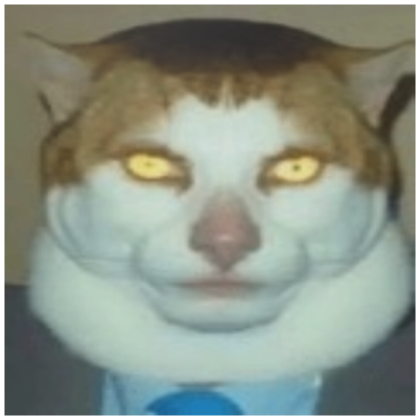 serious cat man face meme pfp's Code & Price - RblxTrade
