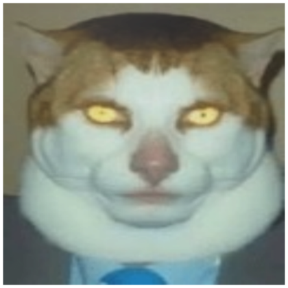 meme cat pfp  Roblox Item - Rolimon's