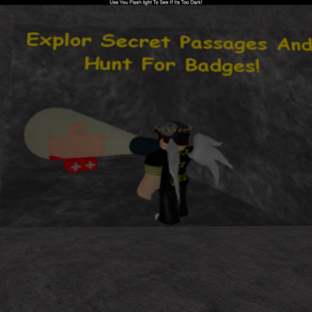 Explore Secret Passages And Hunt For Badges(15)