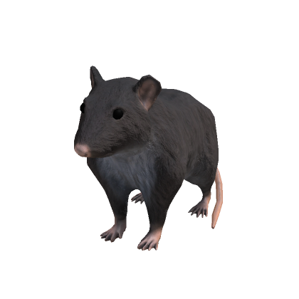 Costume de rat - Roblox